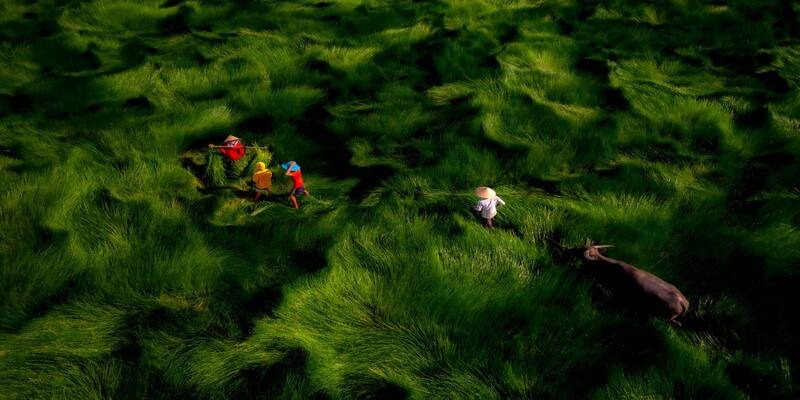 Artistic Photography- Symbol of Creativity and Emotion 2 image 26