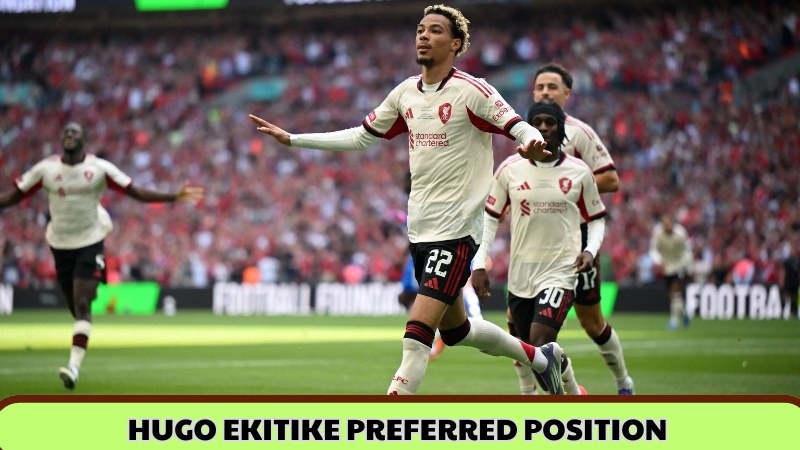 Hugo Ekitike - From Reims to Liverpool the Rise of a Modern Striker 2 image 32