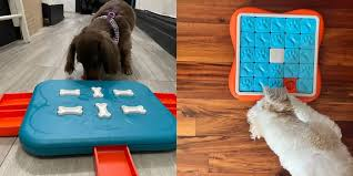 Brain Games for Dogs: Unlocking the Power of Puzzle Toys 1 image 24
